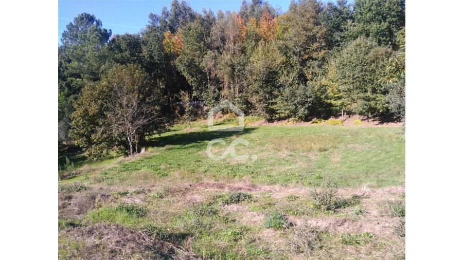 Terreno para Venda em Arões (São Romão) Foto 2