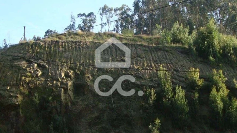 Terreno para Venda em Riba de Ave