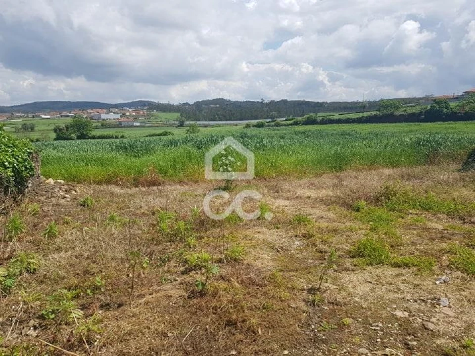 Terreno para Venda em Balazar Foto 2