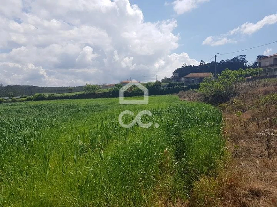 Terreno para Venda em Balazar Foto 3