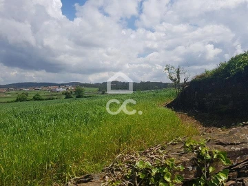 Terreno para Venda em Balazar