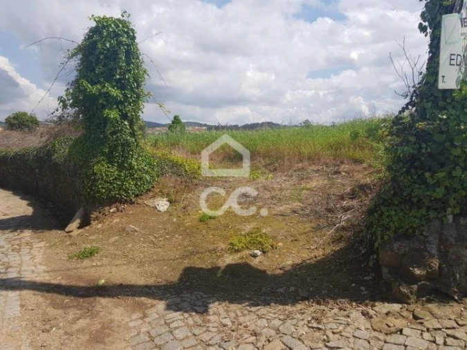 Terreno para Venda em Balazar Foto 5