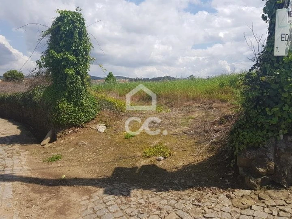 Terreno para Venda em Balazar Foto 5