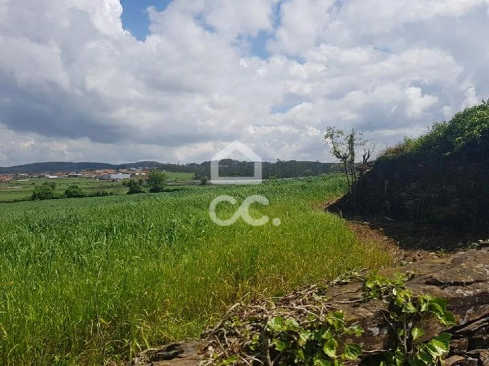 Terreno para Venda em Balazar Foto 1