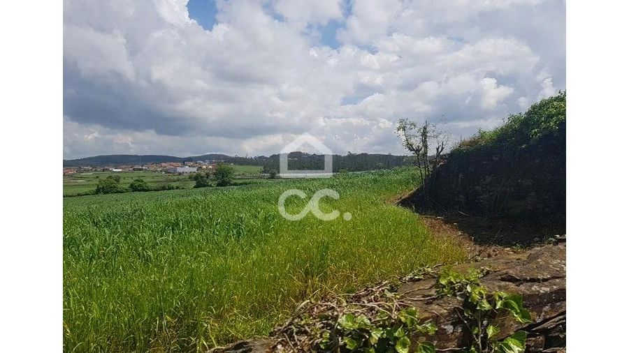 Terreno para Venda em Balazar
