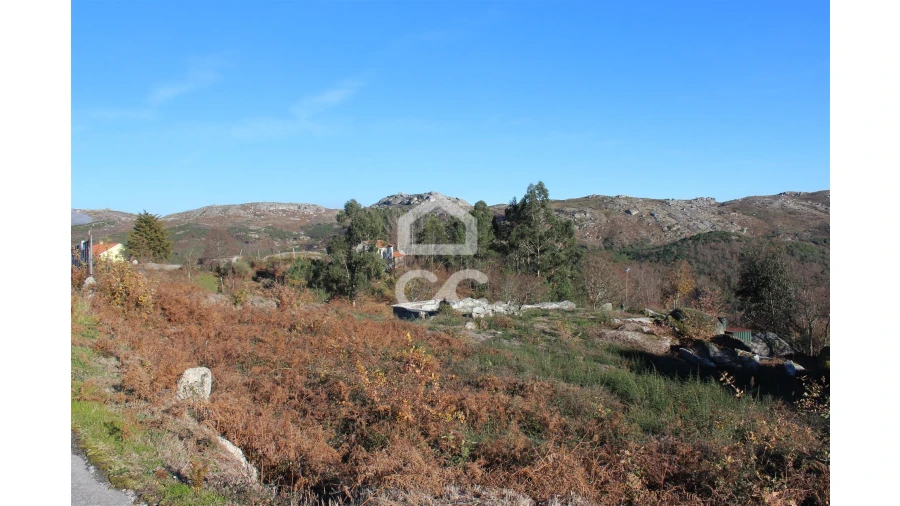 Terreno para Venda em Moreira do Rei e Várzea Cova Foto 2