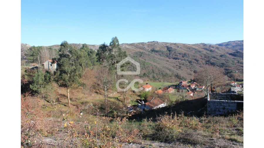 Terreno para Venda em Moreira do Rei e Várzea Cova Foto 4
