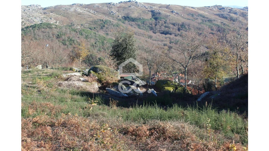 Terreno para Venda em Moreira do Rei e Várzea Cova Foto 3