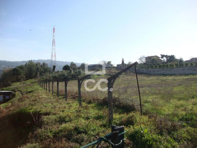 Terreno para Venda em Areias, Sequeirô, Lama e Palmeira Foto 4