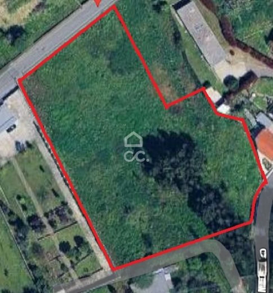 Terreno para Venda em Areias, Sequeirô, Lama e Palmeira Foto 5