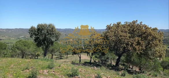 Terreno para Venda em São Bartolomeu de Messines