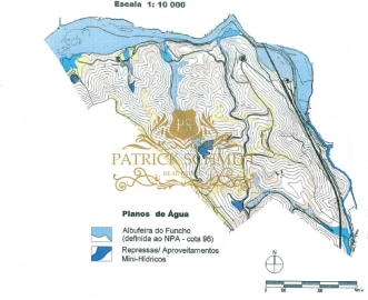 Terreno para Venda em São Bartolomeu de Messines