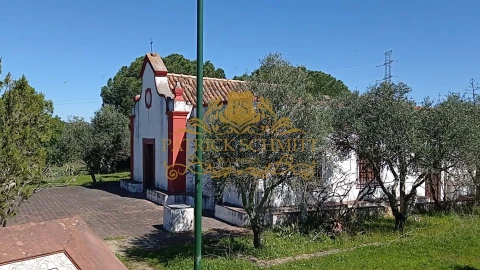 Terreno para Venda em São Bartolomeu de Messines