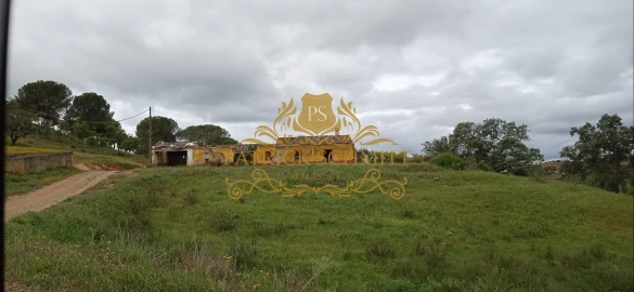 Terreno para Venda em São Bartolomeu de Messines