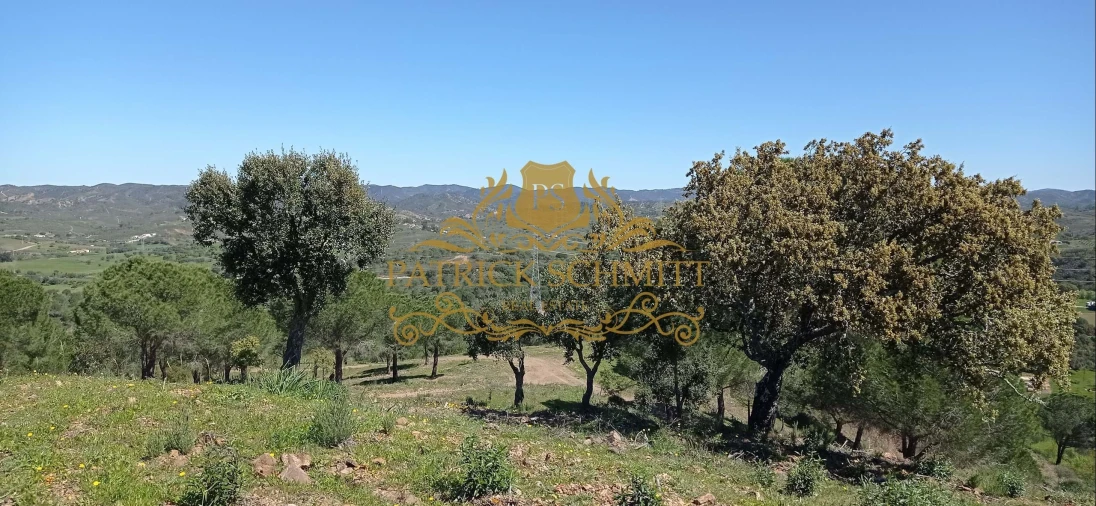 Terreno para Venda em São Bartolomeu de Messines Foto 10