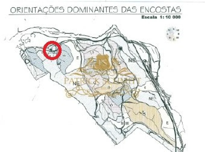 Terreno para Venda em São Bartolomeu de Messines Foto 17