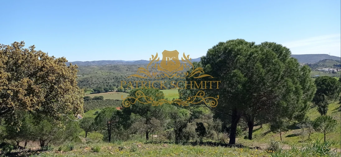 Terreno para Venda em São Bartolomeu de Messines Foto 11