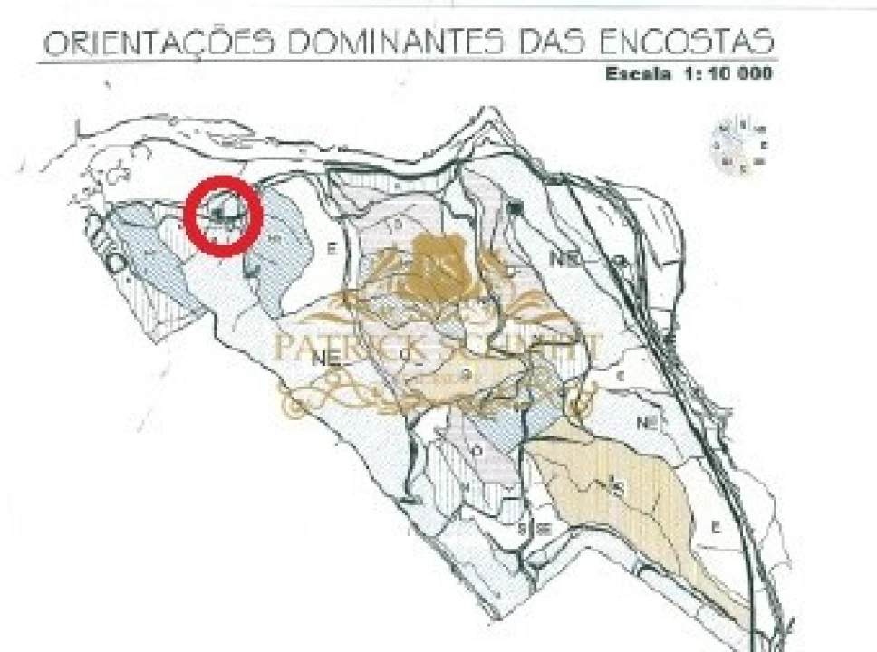 Terreno para Venda em São Bartolomeu de Messines Foto 17