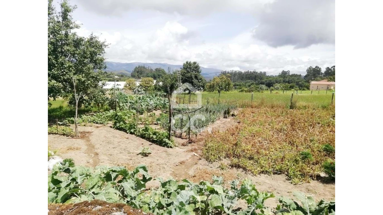 Terreno para Venda em São Vicente de Lafões Foto 5