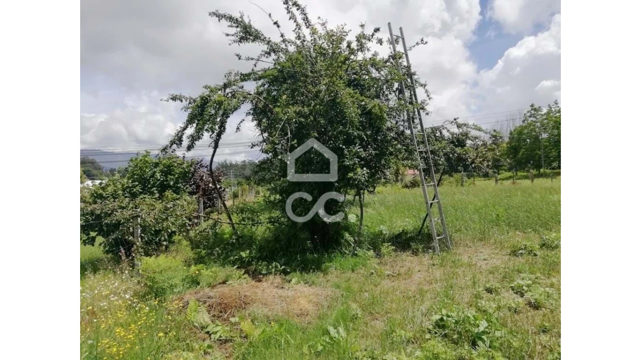 Terreno para Venda em São Vicente de Lafões Foto 7