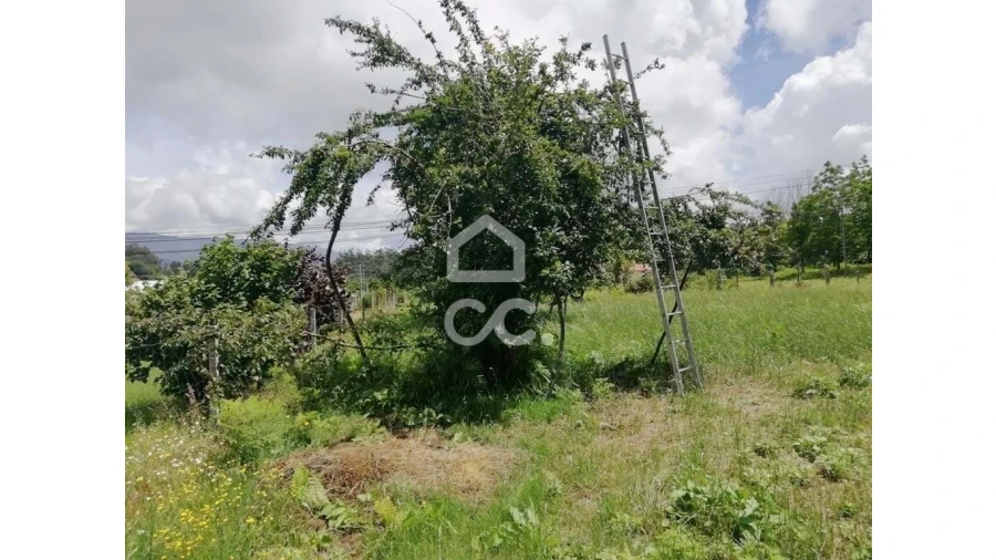 Terreno para Venda em São Vicente de Lafões Foto 7