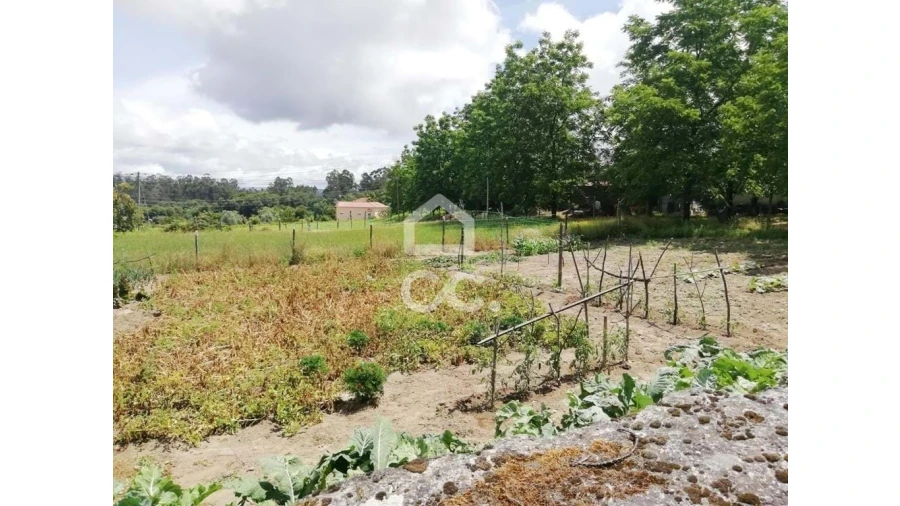 Terreno para Venda em São Vicente de Lafões Foto 6