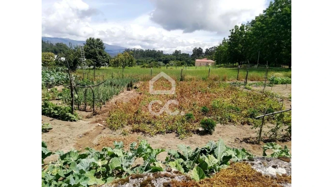 Terreno para Venda em São Vicente de Lafões Foto 4