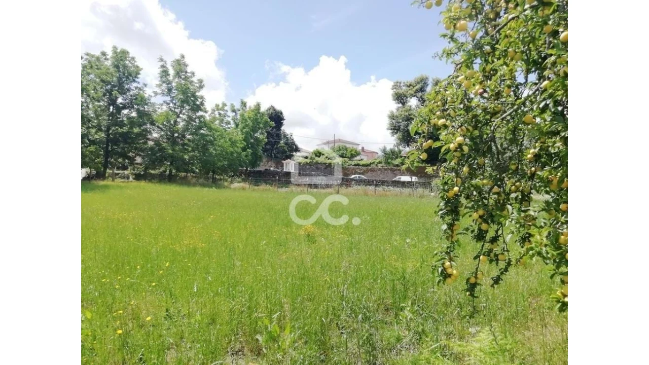 Terreno para Venda em São Vicente de Lafões Foto 9