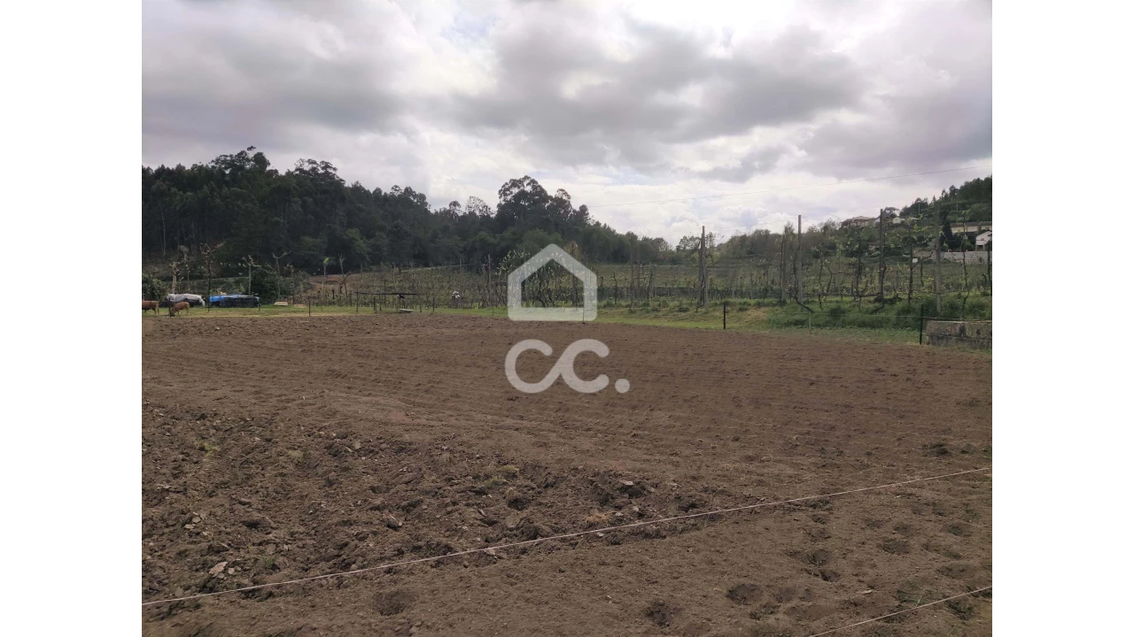 Quinta T5 para Venda em Selho São Lourenço e Gominhães Foto 15