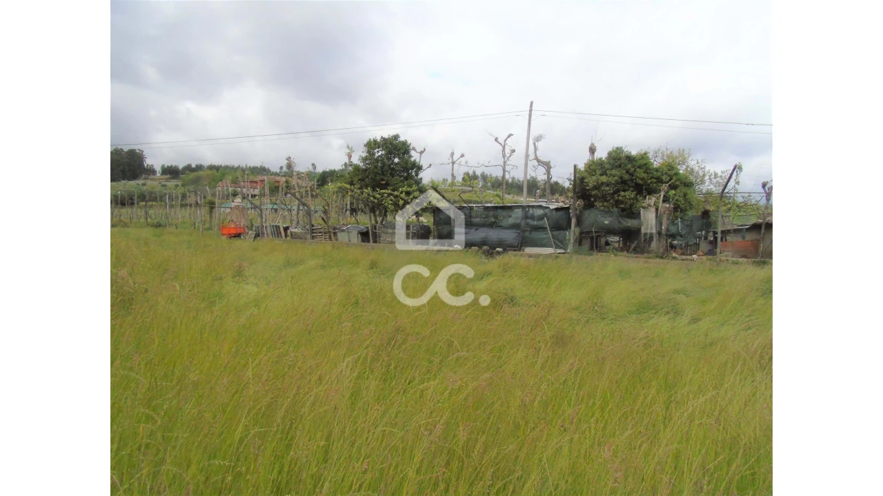 Quinta T5 para Venda em Selho São Lourenço e Gominhães Foto 18