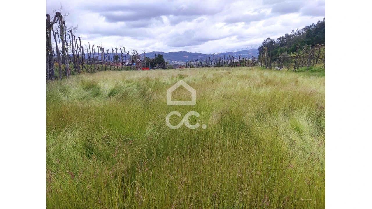 Quinta T5 para Venda em Selho São Lourenço e Gominhães Foto 12