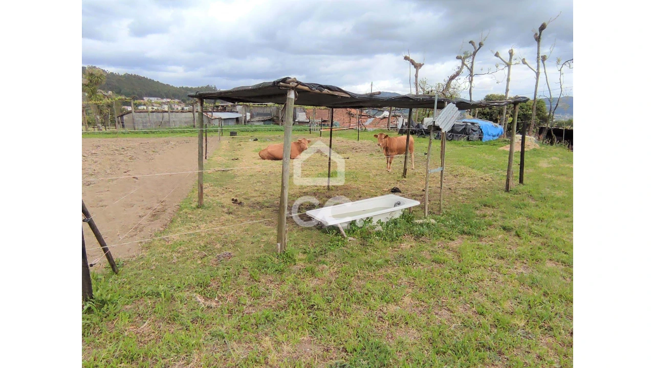 Quinta T5 para Venda em Selho São Lourenço e Gominhães Foto 11