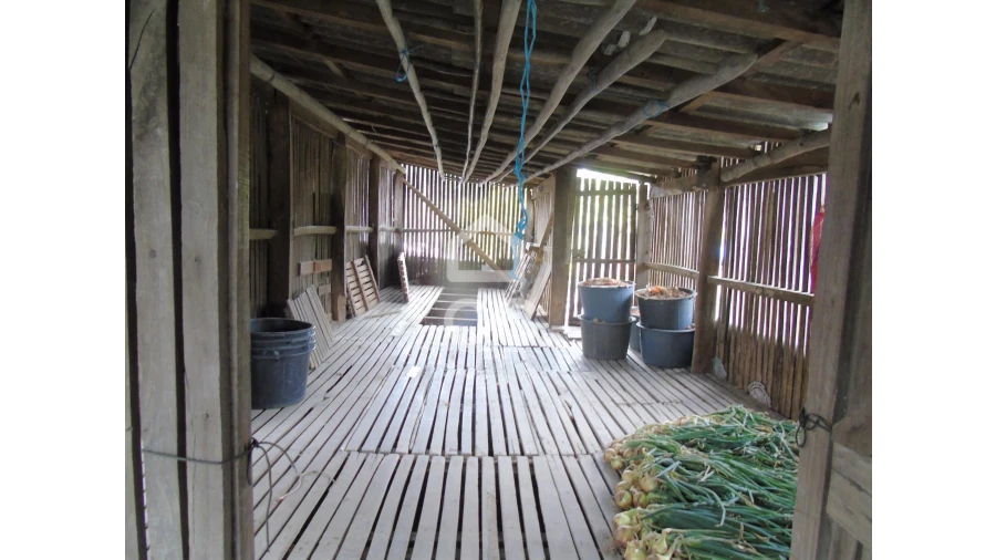 Quinta T5 para Venda em Selho São Lourenço e Gominhães Foto 24