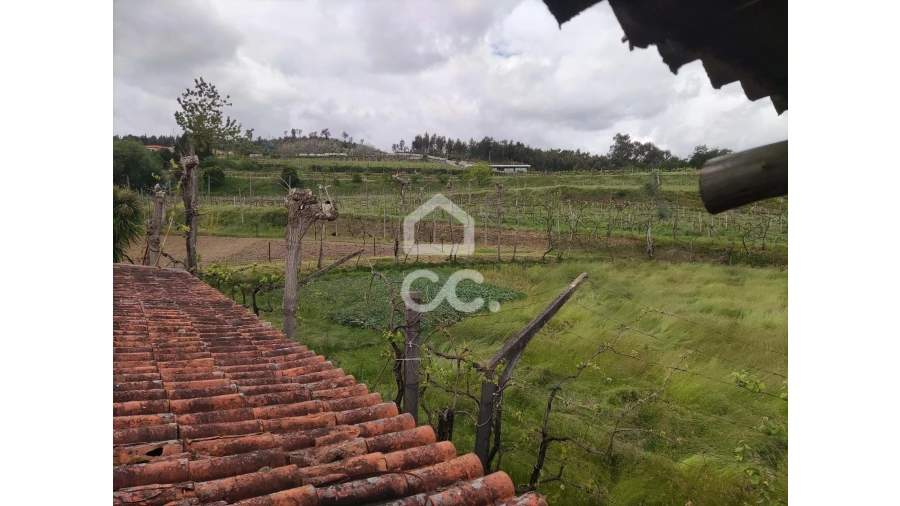 Quinta T5 para Venda em Selho São Lourenço e Gominhães Foto 3