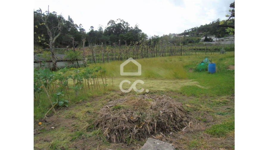 Quinta T5 para Venda em Selho São Lourenço e Gominhães Foto 19