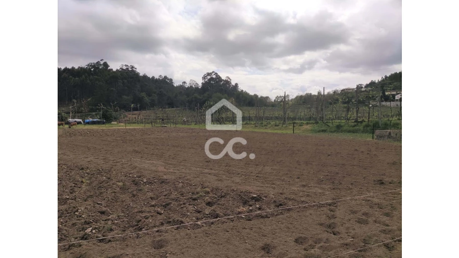 Quinta T5 para Venda em Selho São Lourenço e Gominhães Foto 15