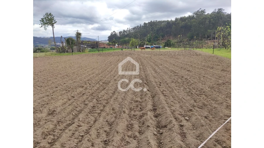 Quinta T5 para Venda em Selho São Lourenço e Gominhães Foto 16