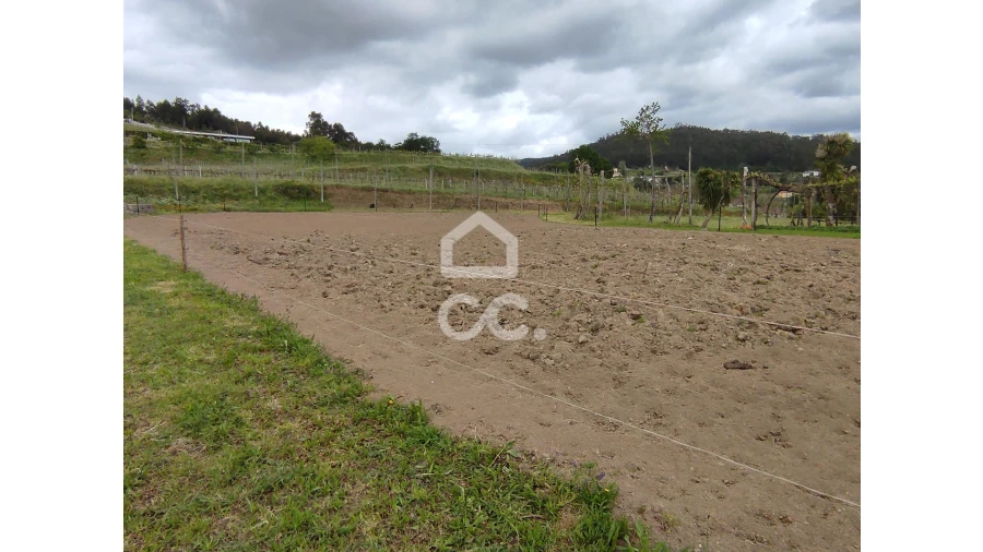 Quinta T5 para Venda em Selho São Lourenço e Gominhães Foto 17