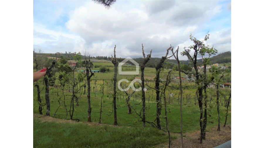 Quinta T5 para Venda em Selho São Lourenço e Gominhães Foto 7