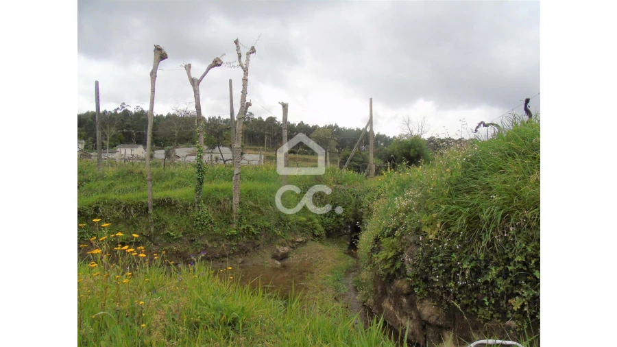 Quinta T5 para Venda em Selho São Lourenço e Gominhães Foto 5