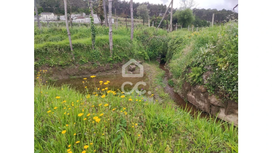 Quinta T5 para Venda em Selho São Lourenço e Gominhães Foto 6