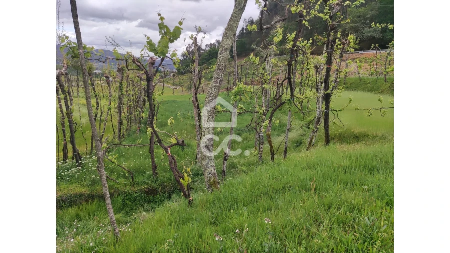 Quinta T5 para Venda em Selho São Lourenço e Gominhães Foto 8