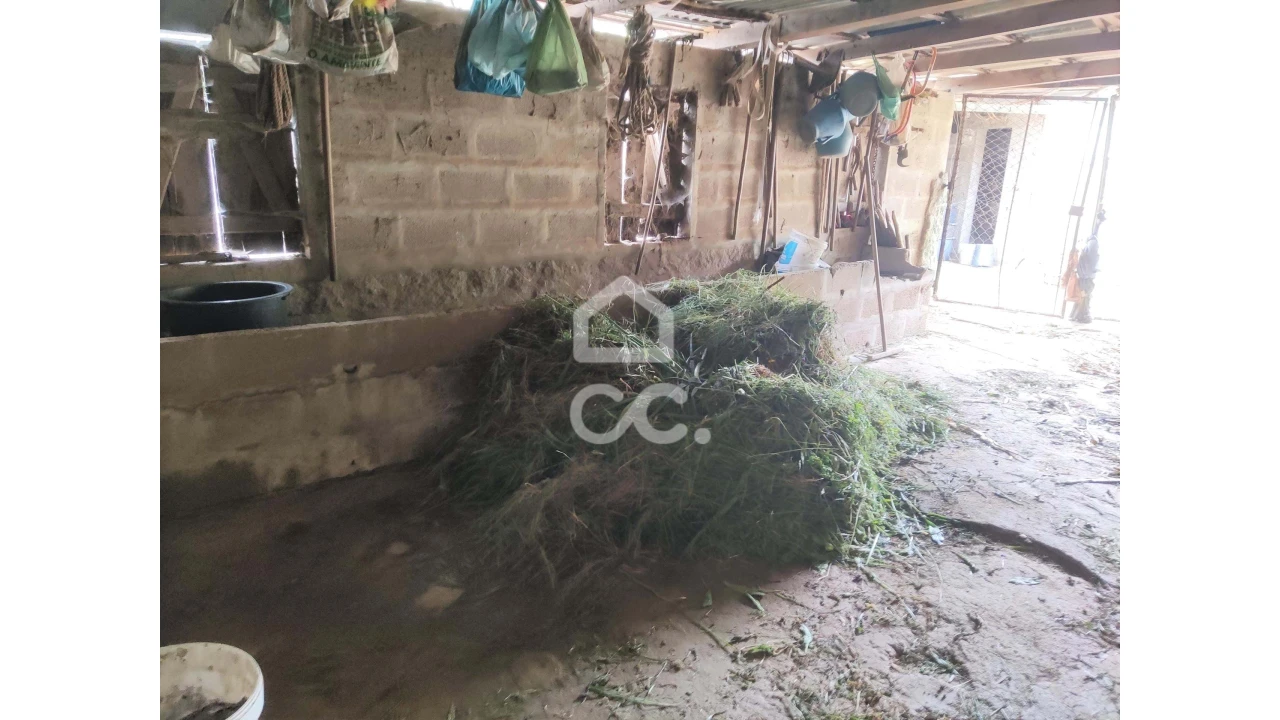 Quinta T5 para Venda em Selho São Lourenço e Gominhães Foto 37