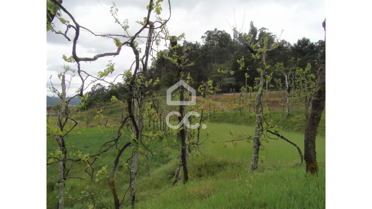 Quinta T5 para Venda em Selho São Lourenço e Gominhães Foto 9