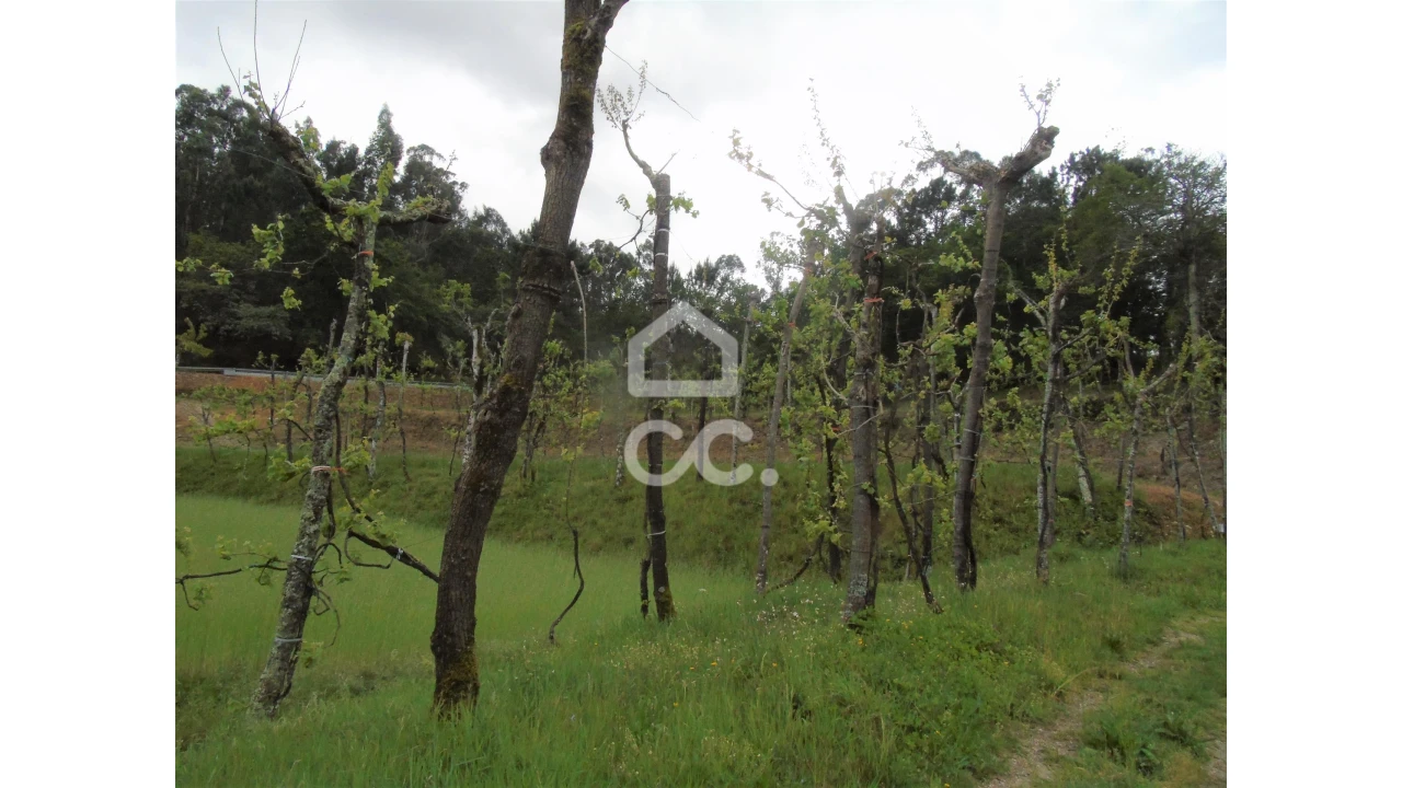 Quinta T5 para Venda em Selho São Lourenço e Gominhães Foto 10