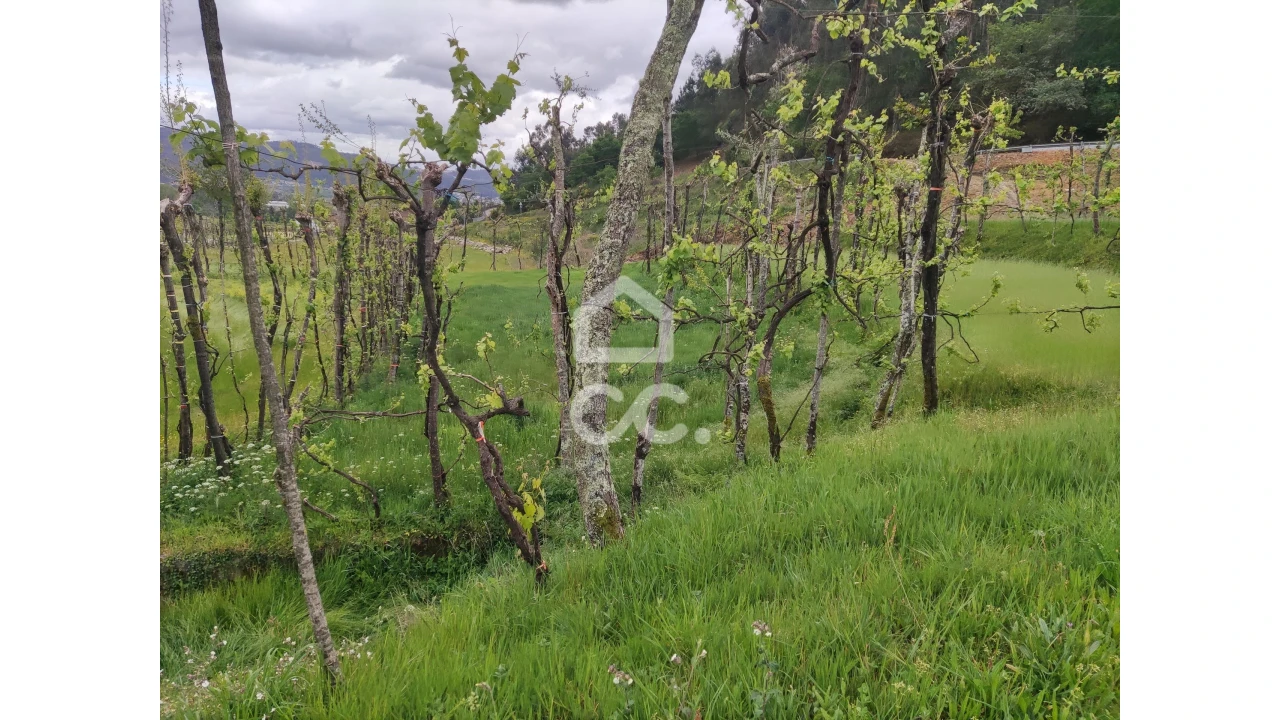 Quinta T5 para Venda em Selho São Lourenço e Gominhães Foto 8