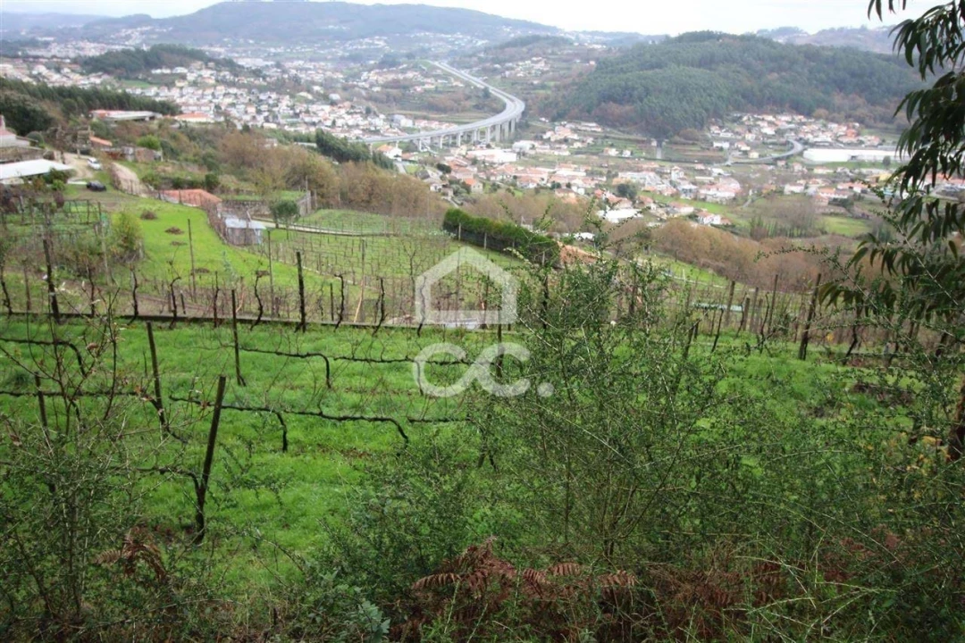 Quinta para Venda em Nespereira Foto 9