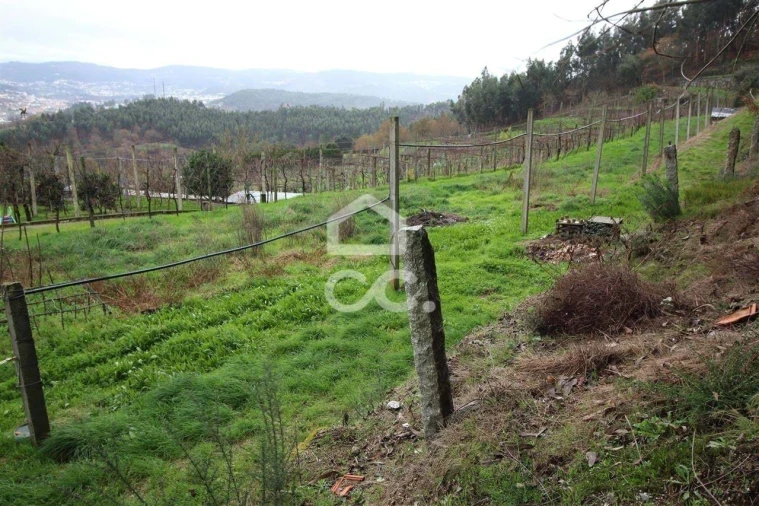 Quinta para Venda em Nespereira Foto 12