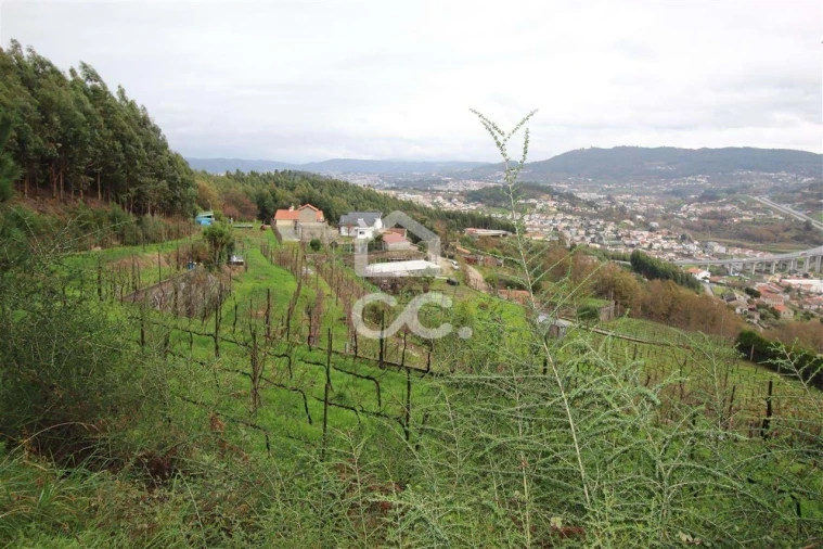 Quinta para Venda em Nespereira Foto 8