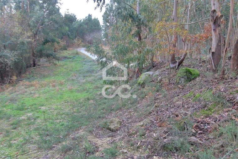 Quinta para Venda em Nespereira Foto 6